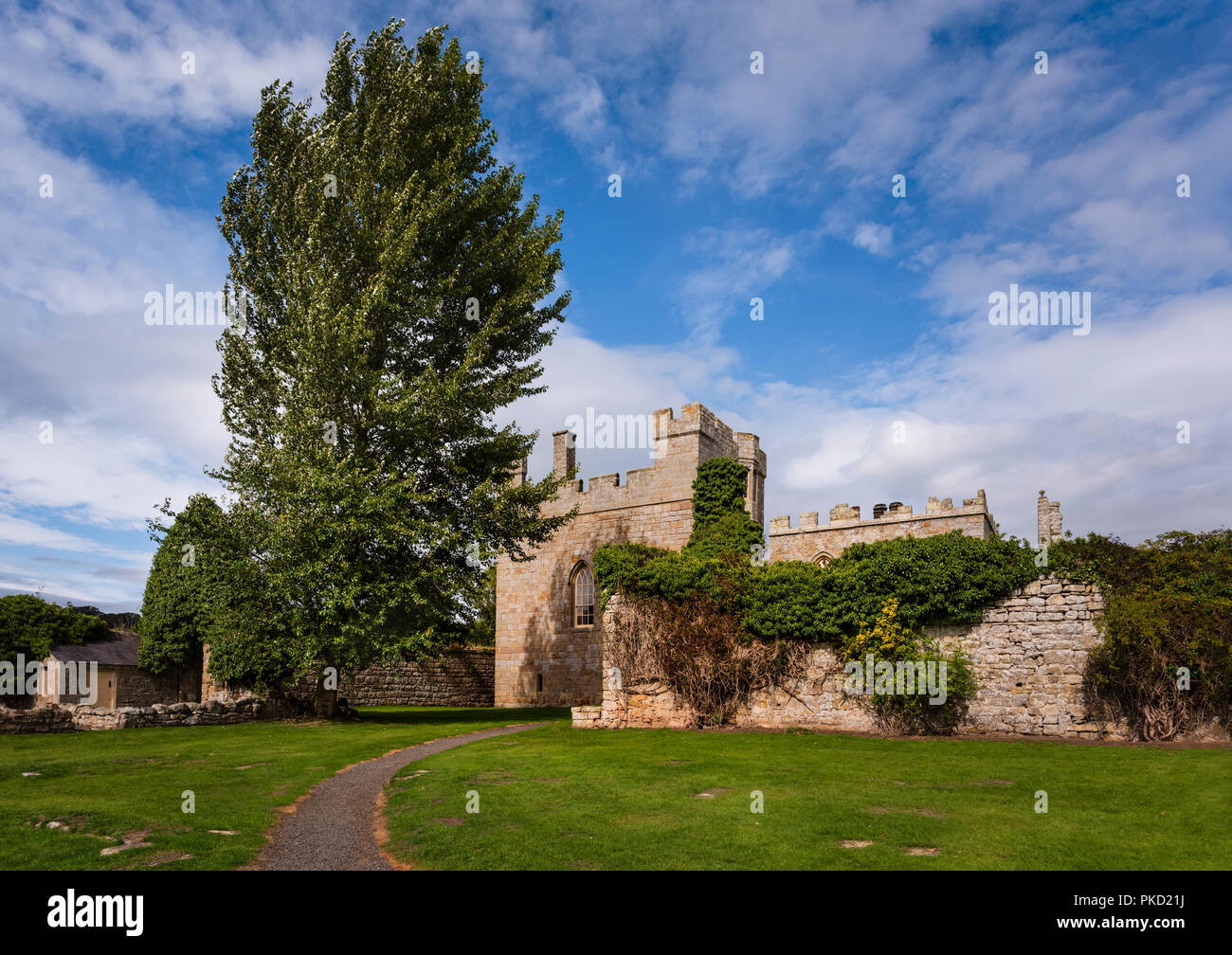 Hulne park alnwick northumberland hires stock photography and images