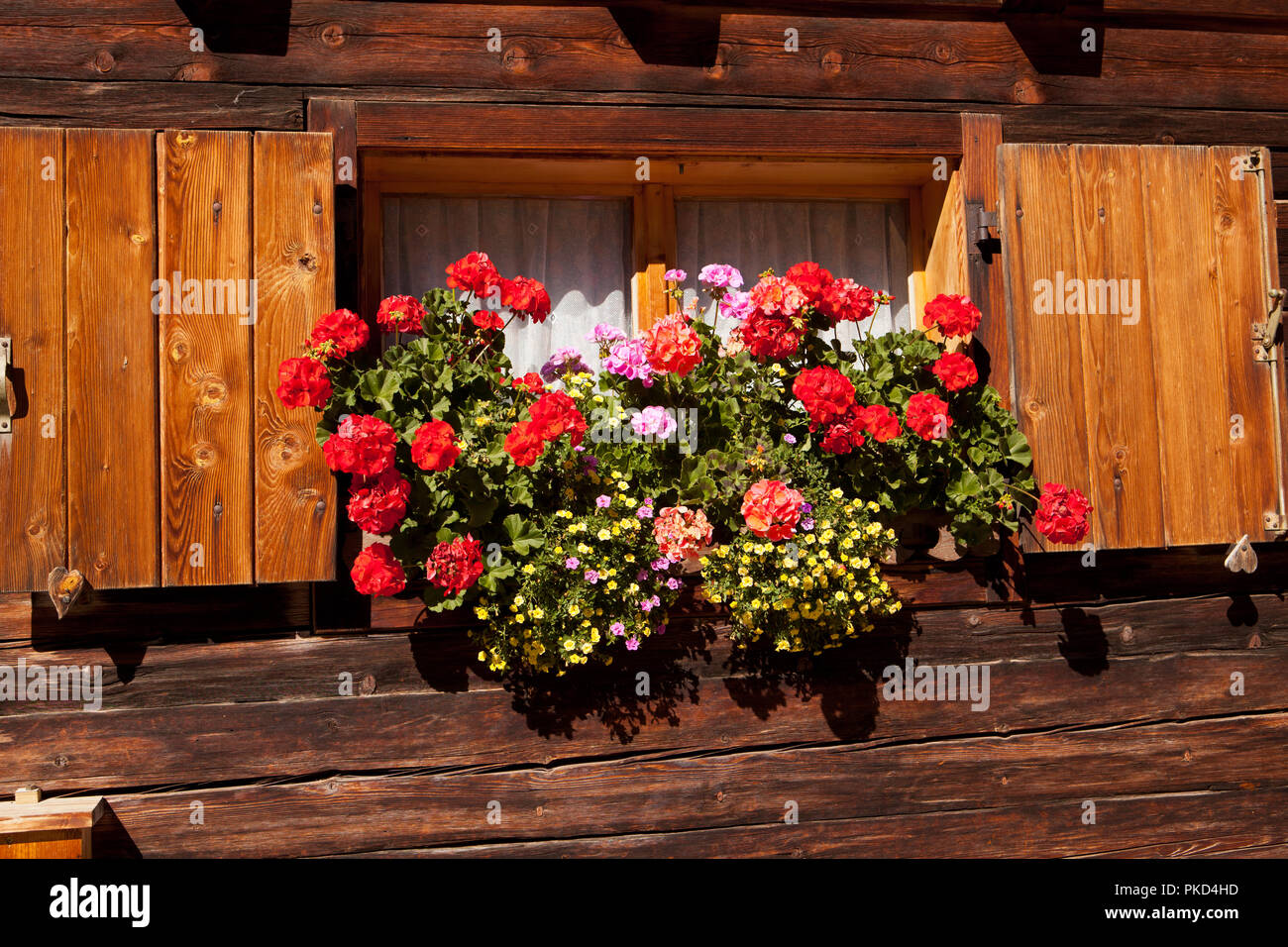 Herbstfarben in der Eng, ein Karwendeltal Stock Photo