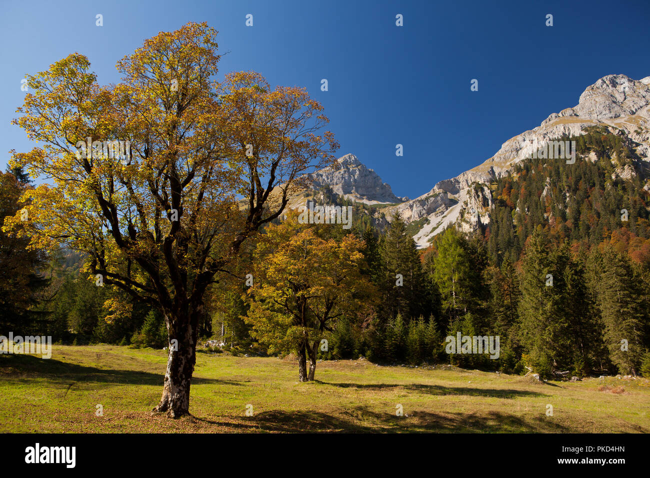 Herbstfarben in der Eng, ein Karwendeltal Stock Photo