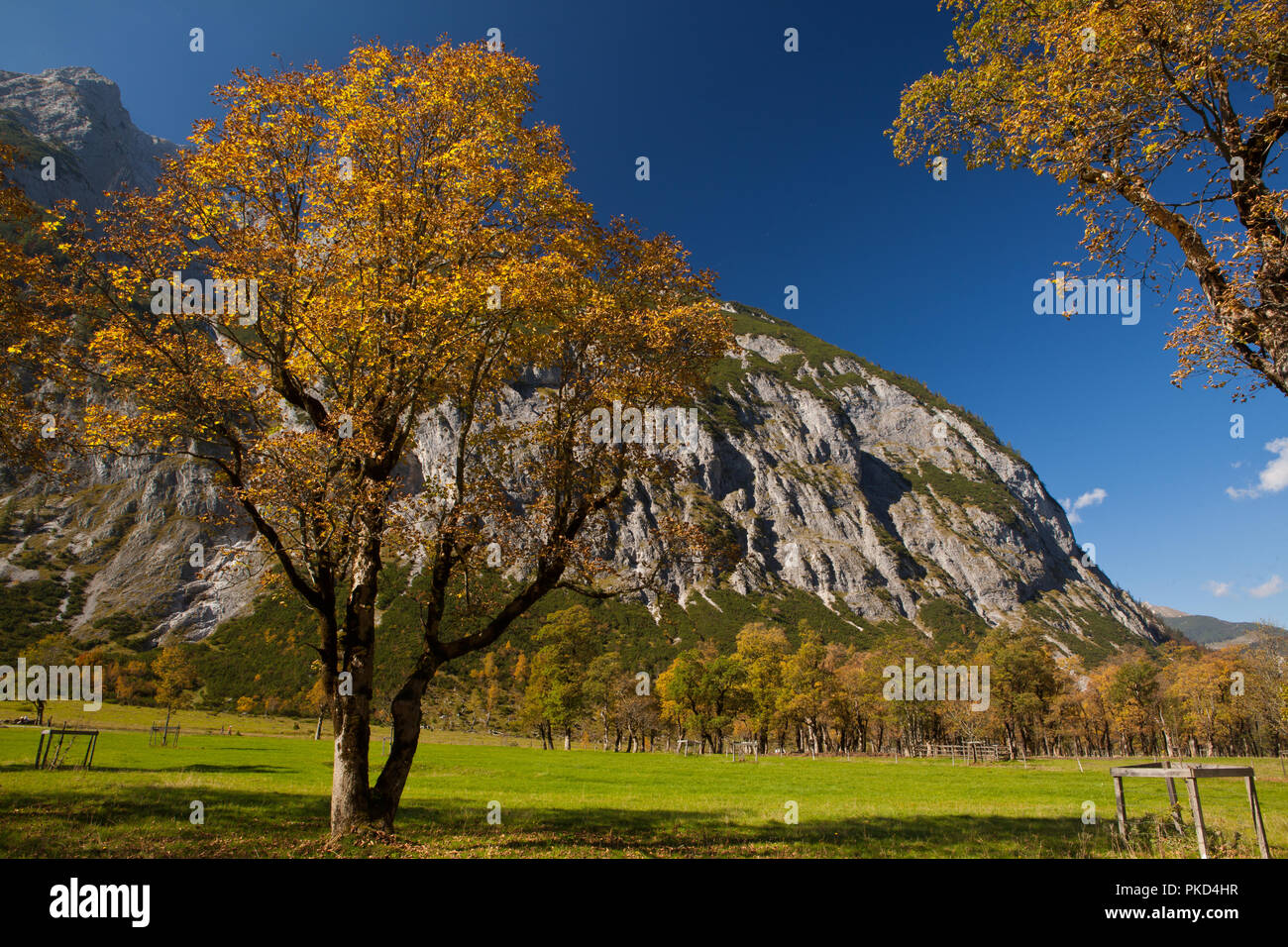 Herbstfarben in der Eng, ein Karwendeltal Stock Photo