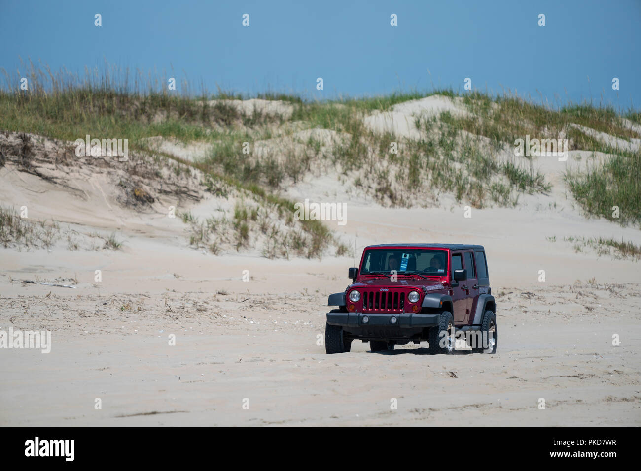 Jeep Wrangler drives on the beach in the Carova 4x4 section of beach in