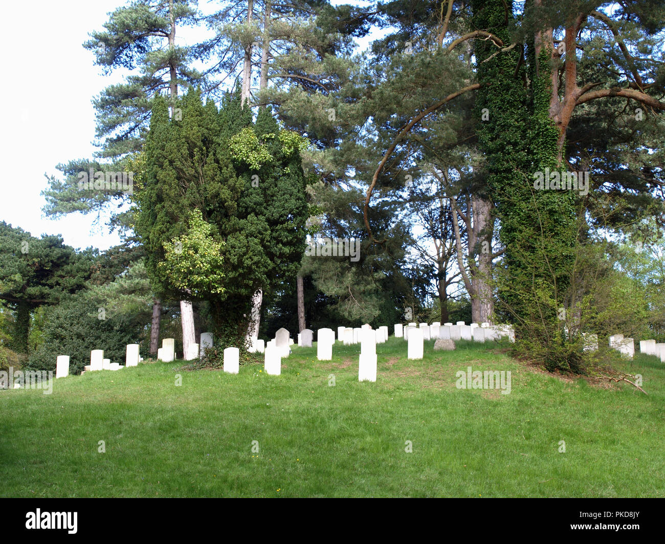 Commonwealth War Graves cemetery at Royal Victoria Country Park, Netley Abbey, Southampton, Hampshire, England, UK Stock Photo