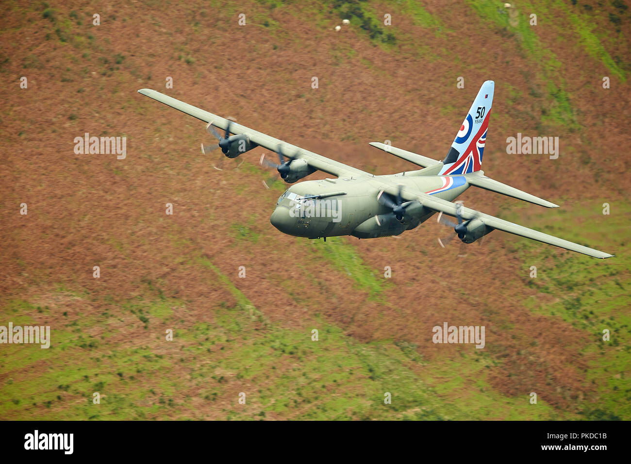 RAF Hercules C-130 in the Mach Loop, North Wales, UK Stock Photo