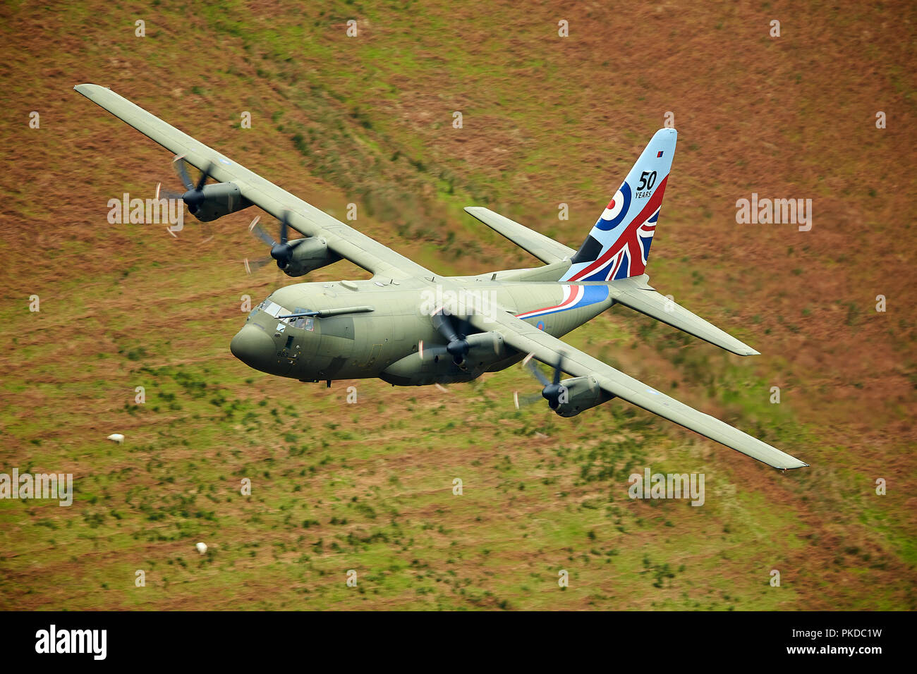RAF Hercules C-130 in the Mach Loop, North Wales, UK Stock Photo