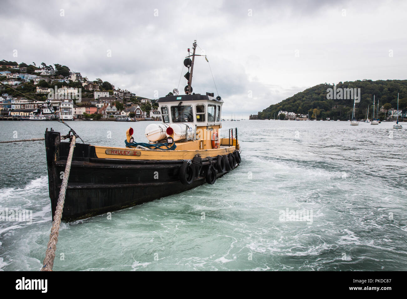 Dartmouth Lower ferry Stock Photo Alamy