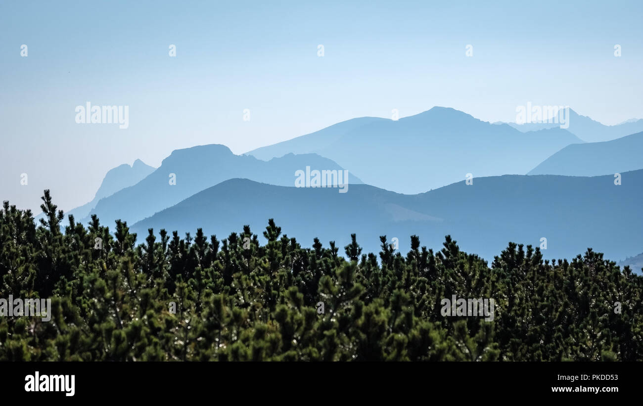 western carpathian mountain tops in autumn covered in mist or clouds ...