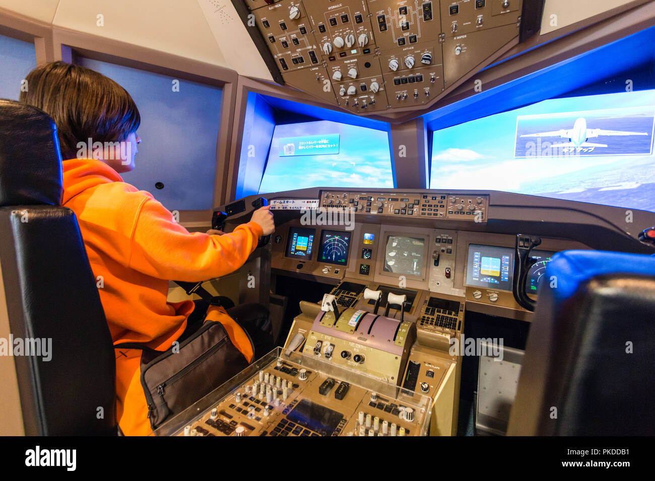 Flight simulator game hi-res stock photography and images - Alamy