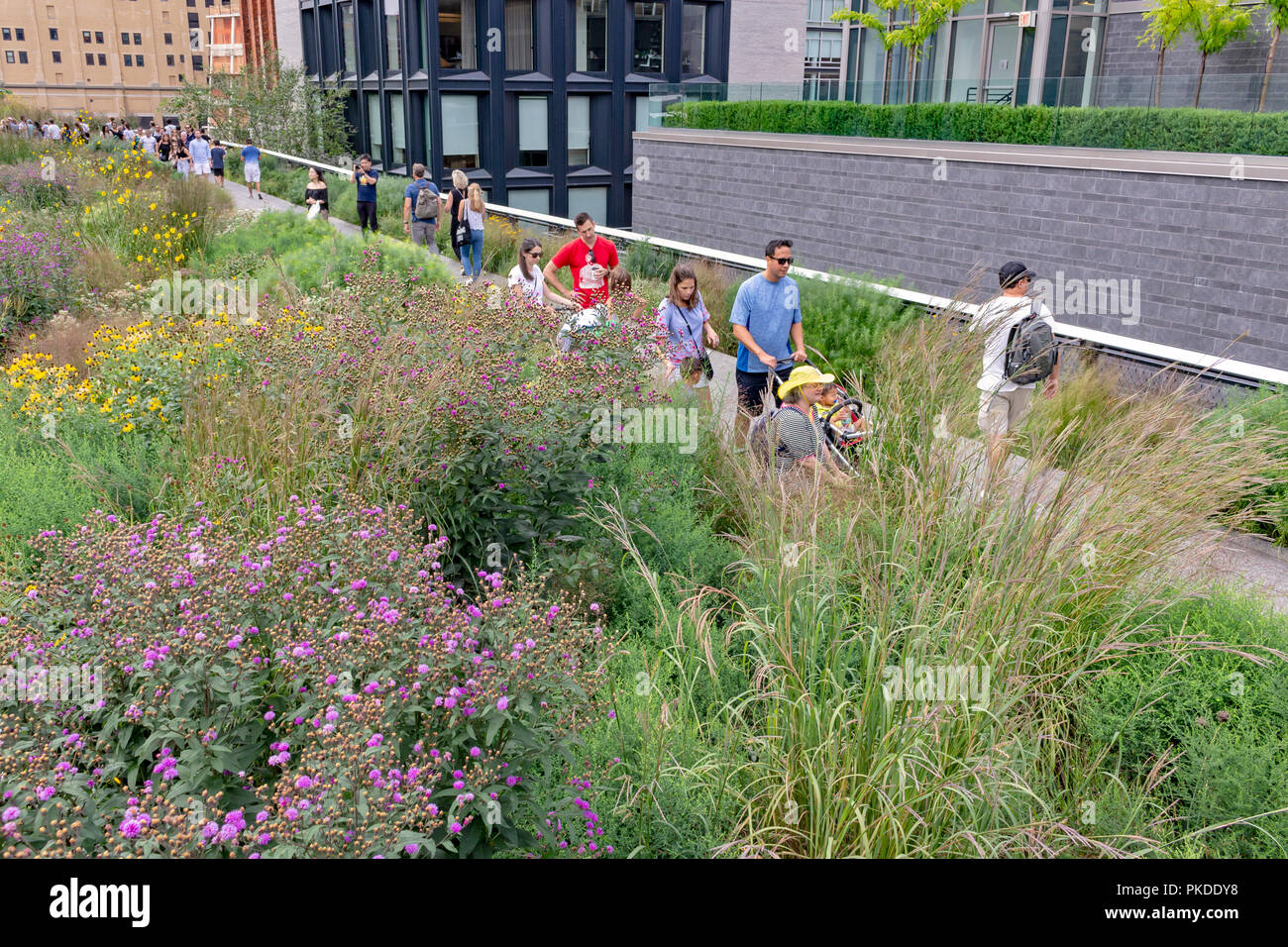 People walking, sitting and enjoying themselves at the New York City High Line Park. Stock Photo