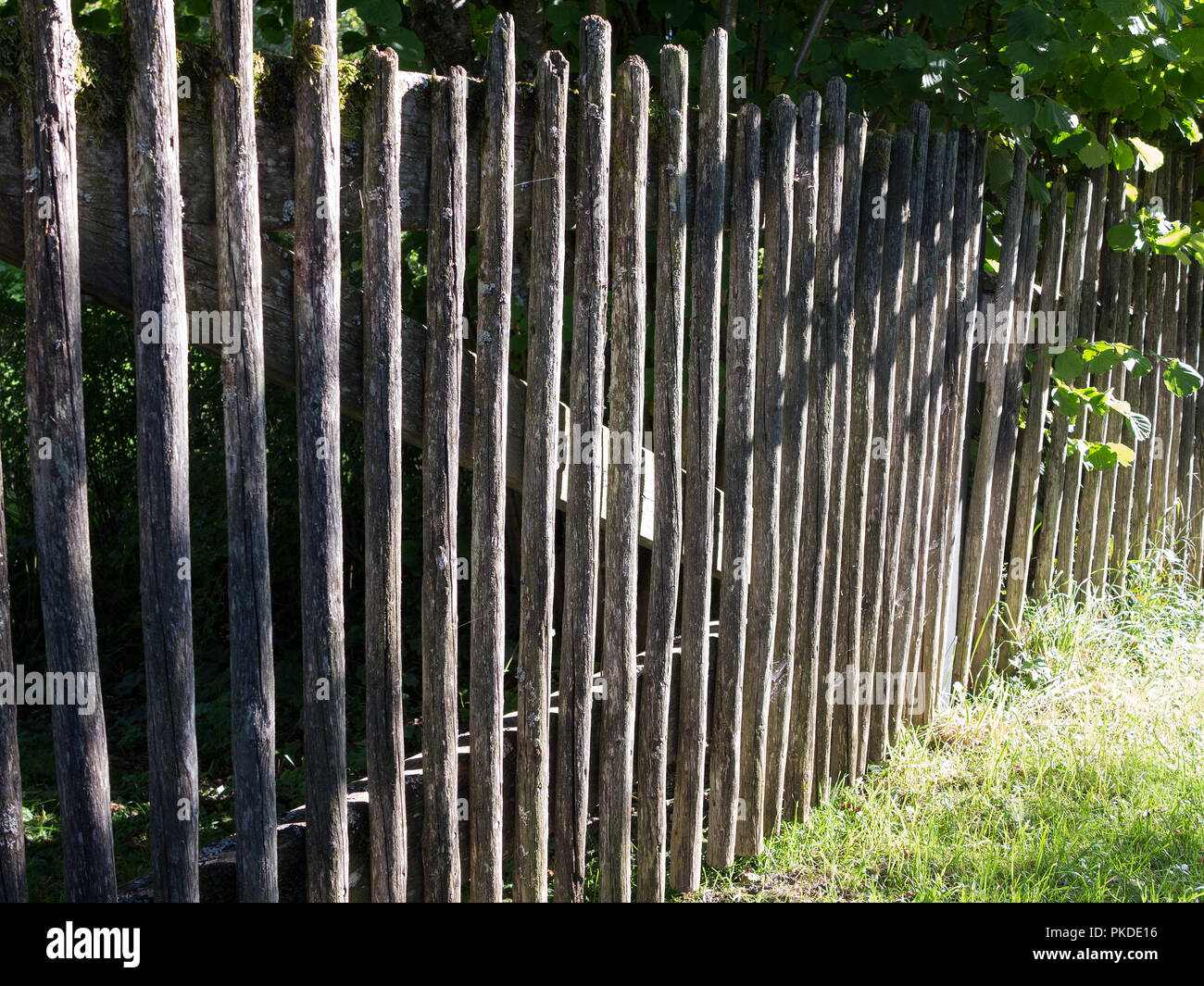 Old wooden picket fence Stock Photo