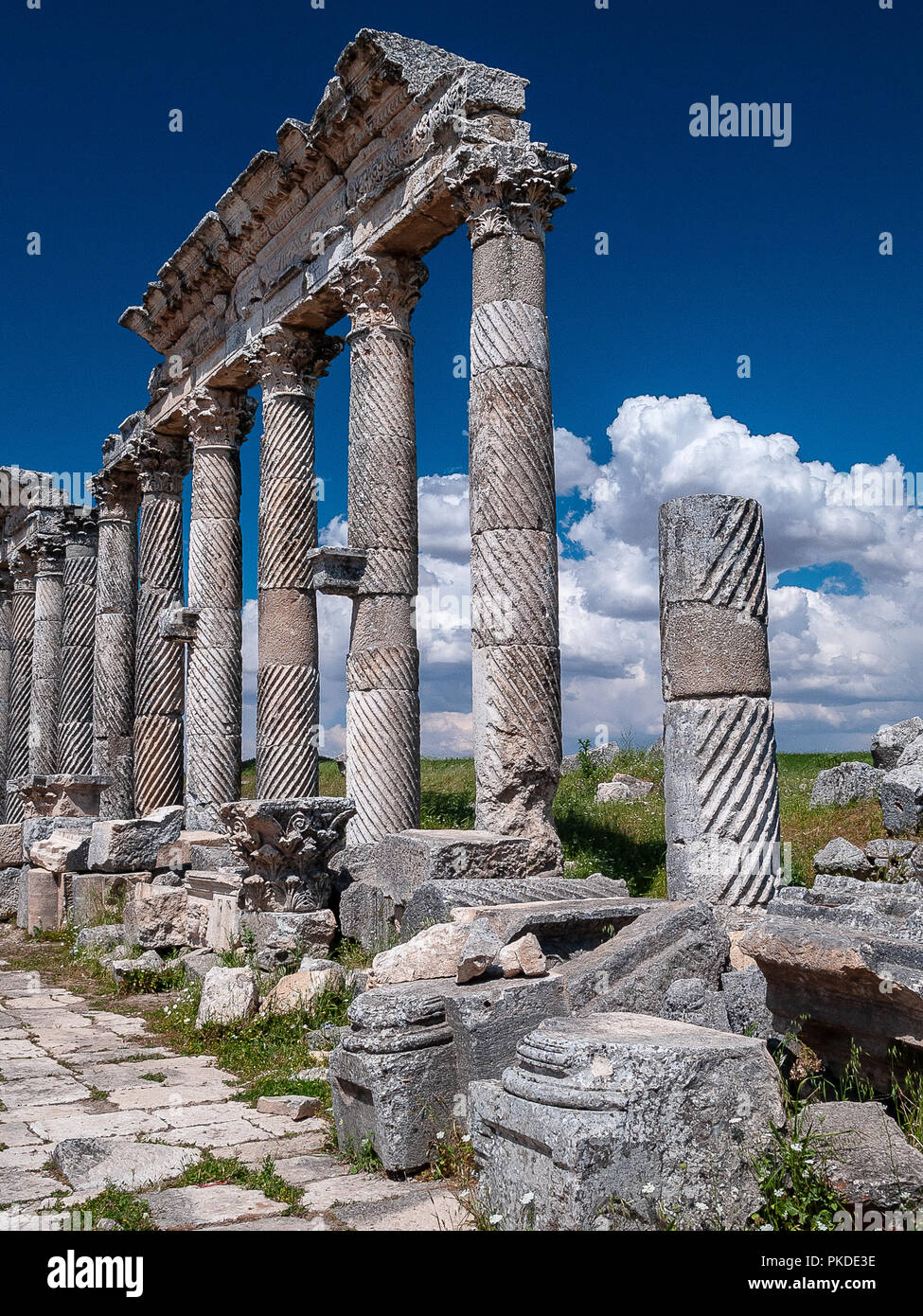 Apamea (also known as Afamia), the ancient Greek and Roman city. The site is located near Qalaat al-Madiq, about 60 km to the northwest of Hama, Syria Stock Photo