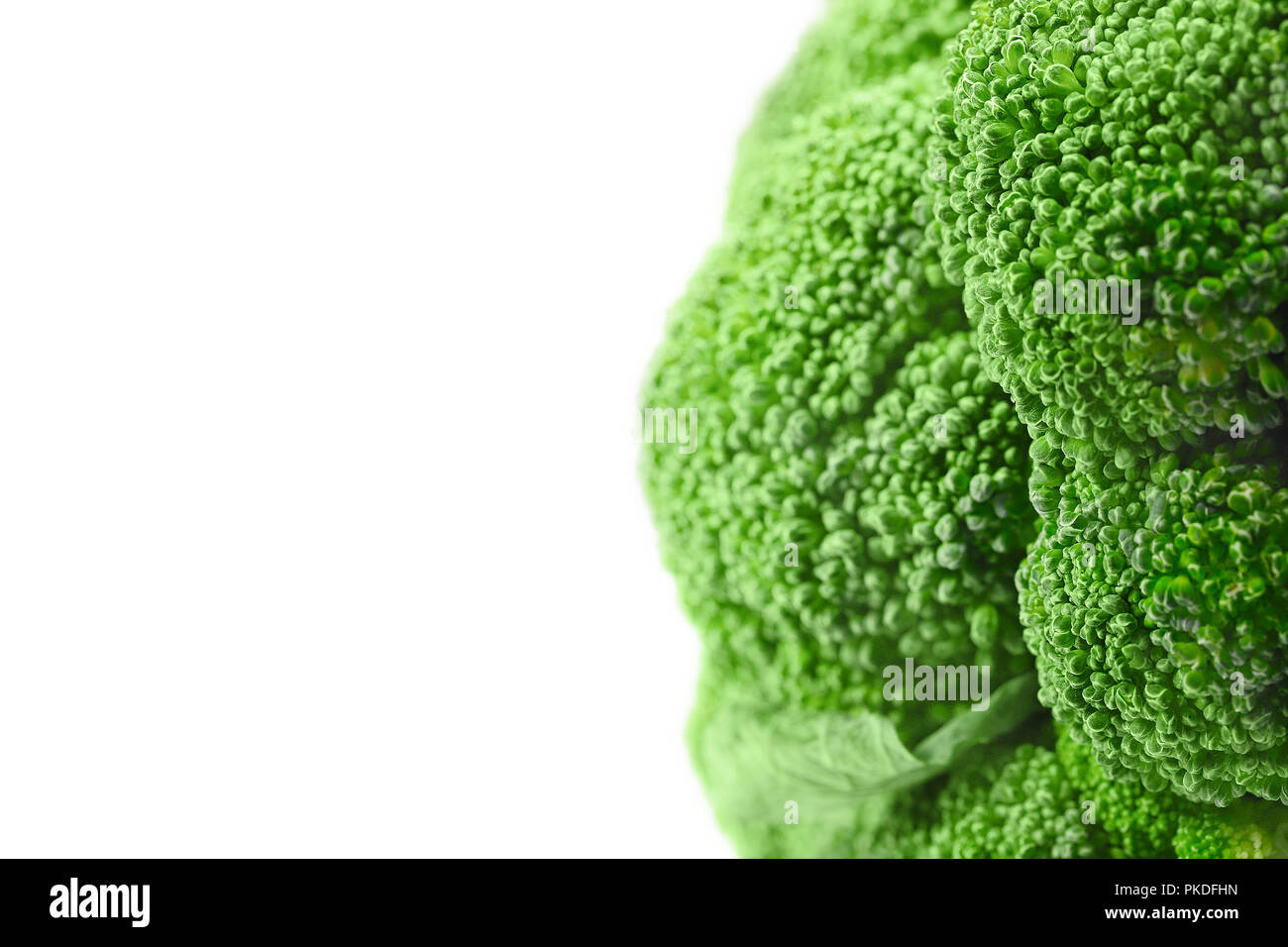Broccoli isolated on white background. Close up, macro. Stock Photo
