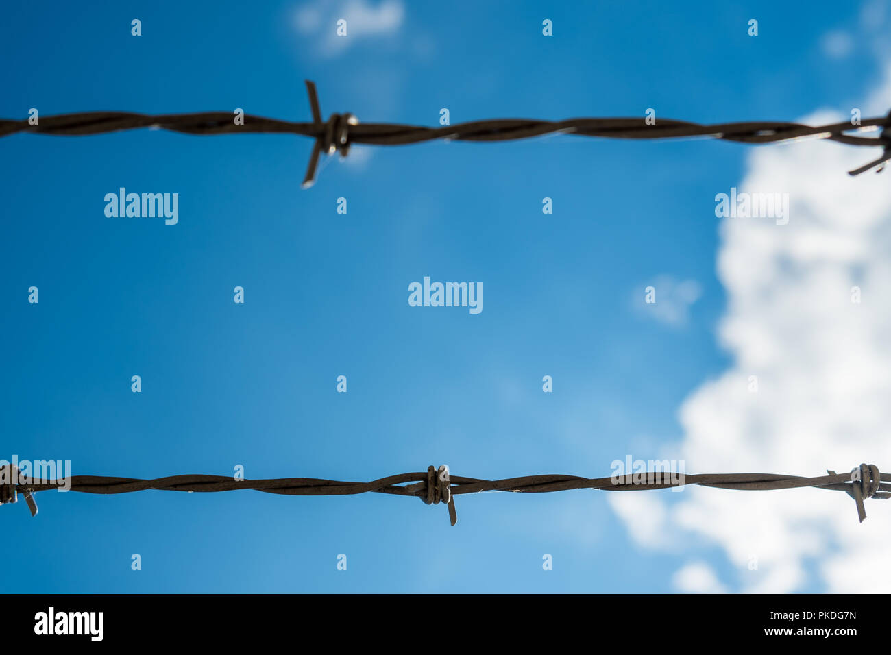 Two strands of barbed wire with blue sky and clouds in the background Stock Photo