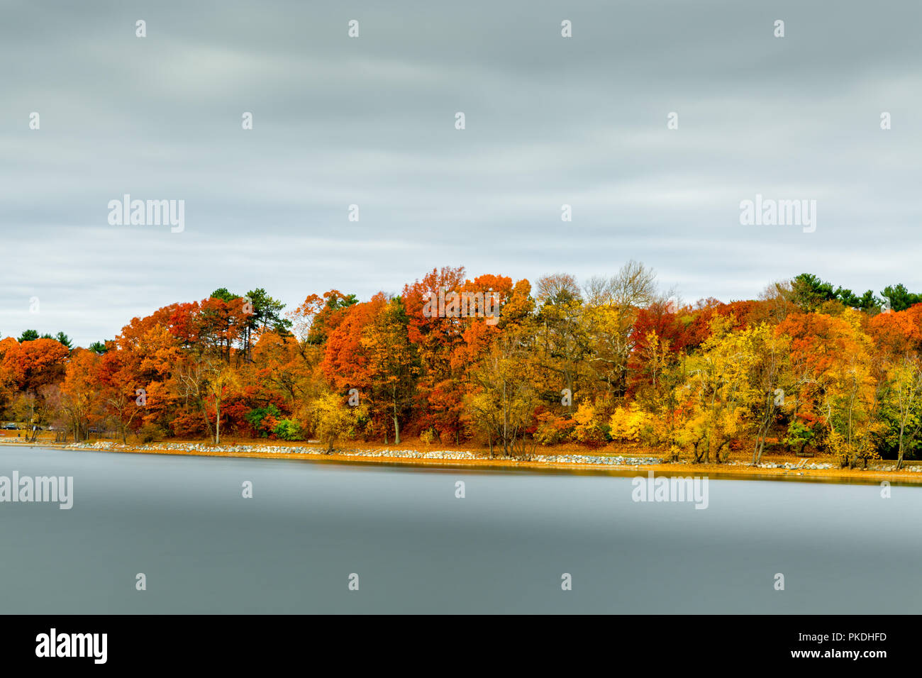 Pouring very hot water from an elecric kettle to melt ice formed on  domestic garden pond Stock Photo - Alamy