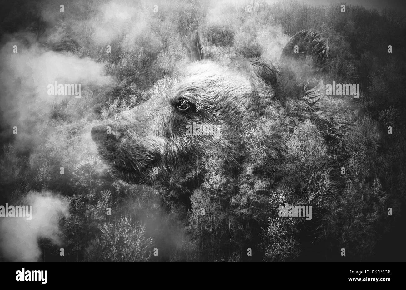Nature photo collage Black and White Stock Photos & Images - Alamy