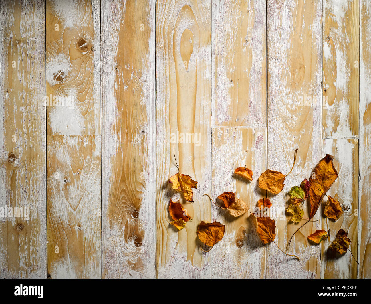 Barewood in studio, overhead view Stock Photo
