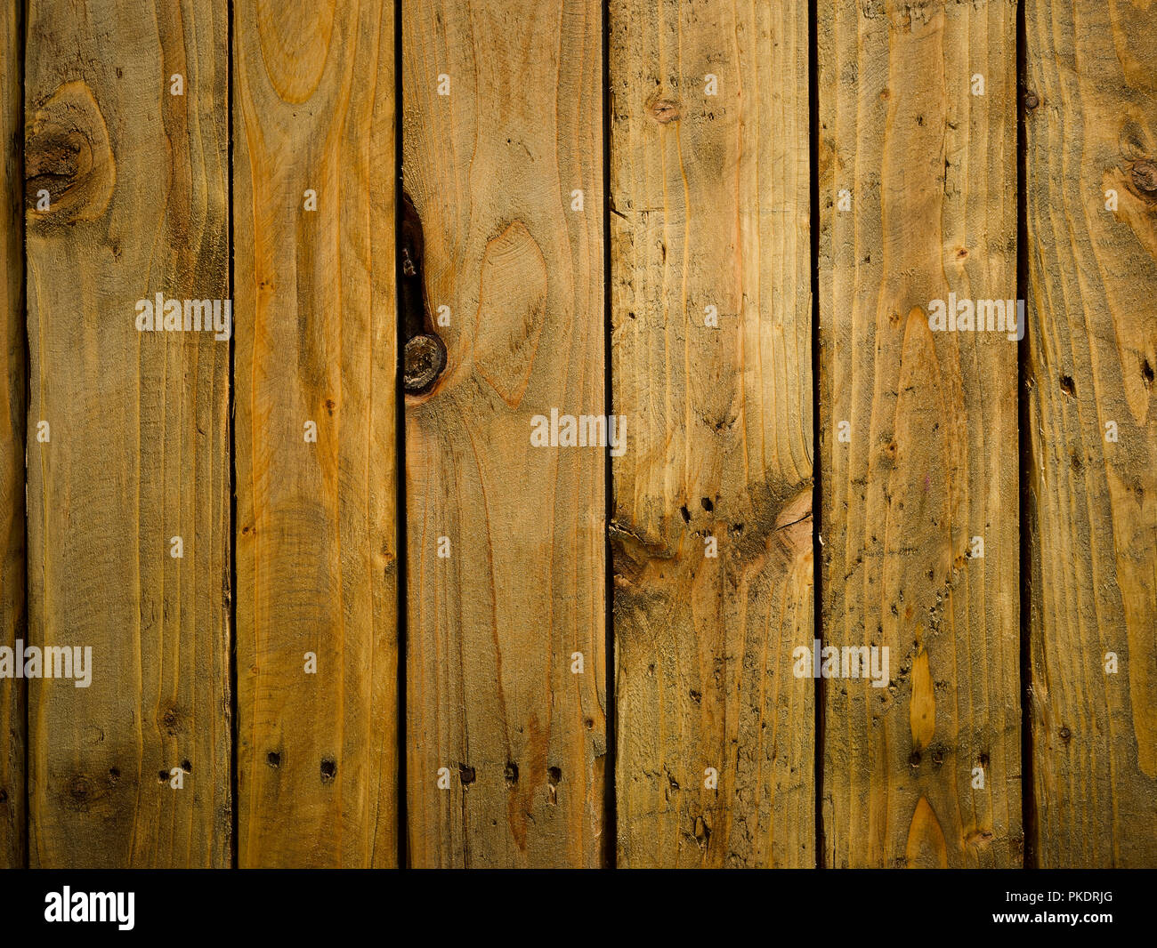 Barewood in studio, overhead view Stock Photo