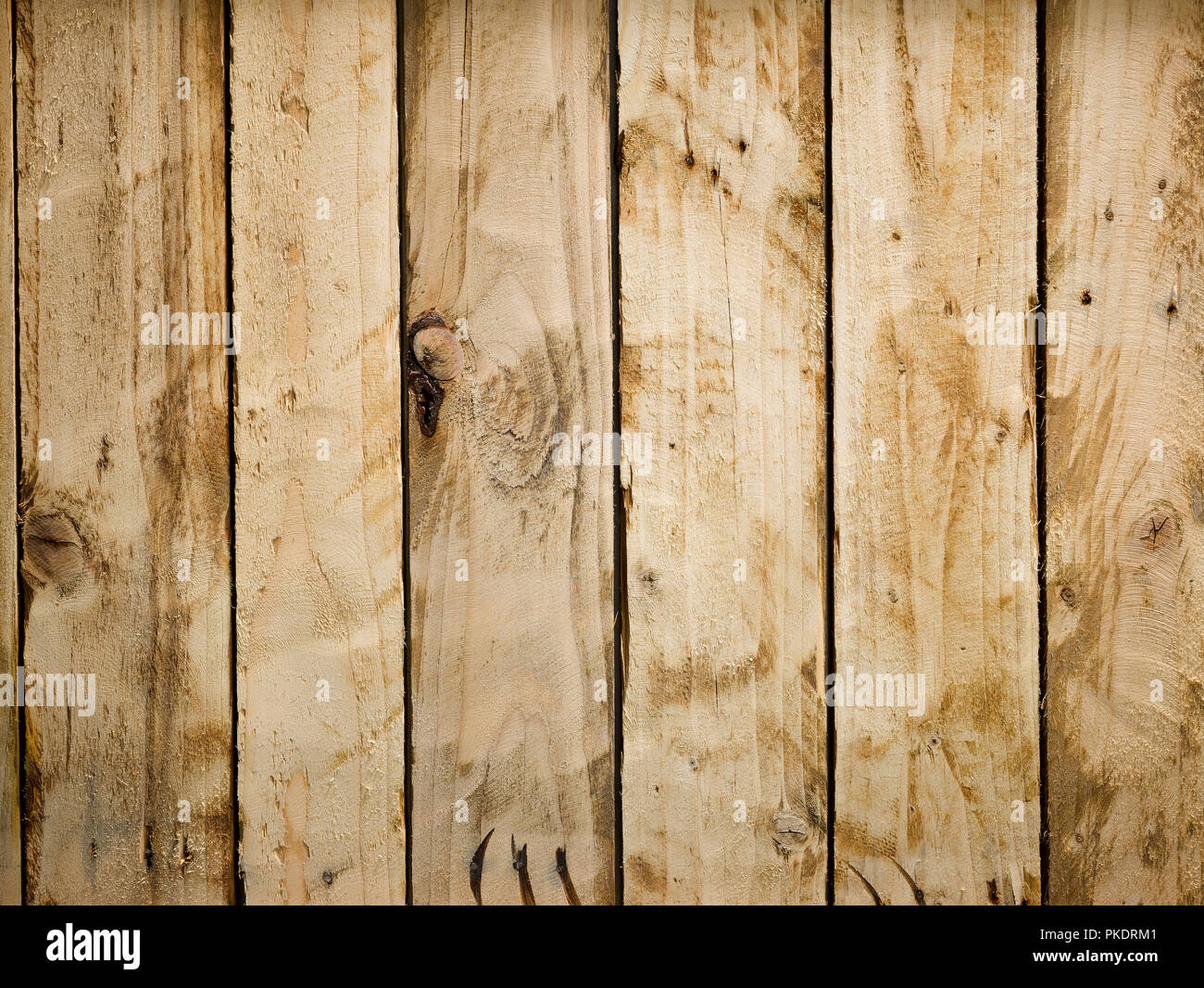 Barewood in studio, overhead view Stock Photo