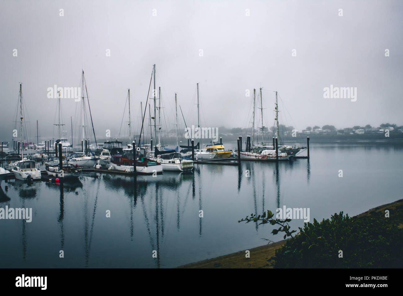 Winchester bay Oregon Marina Stock Photo Alamy