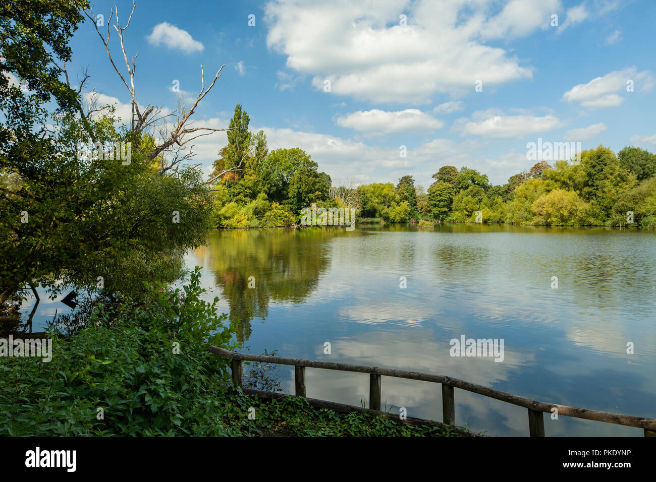Late summer at Bay Pond in Godstone, Surrey, England. Stock Photo