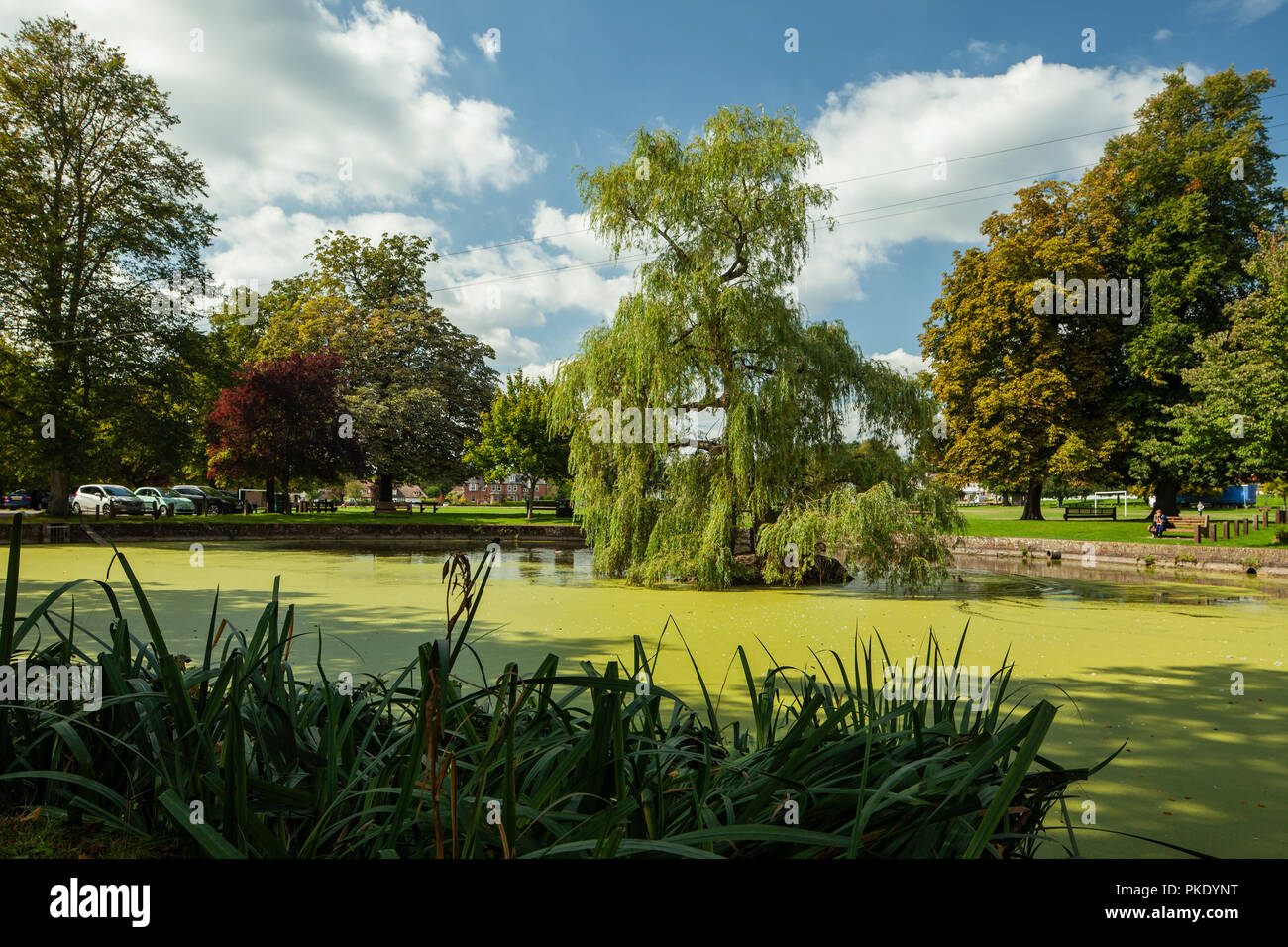 Village pond in Godstone, Surrey, England. Stock Photo