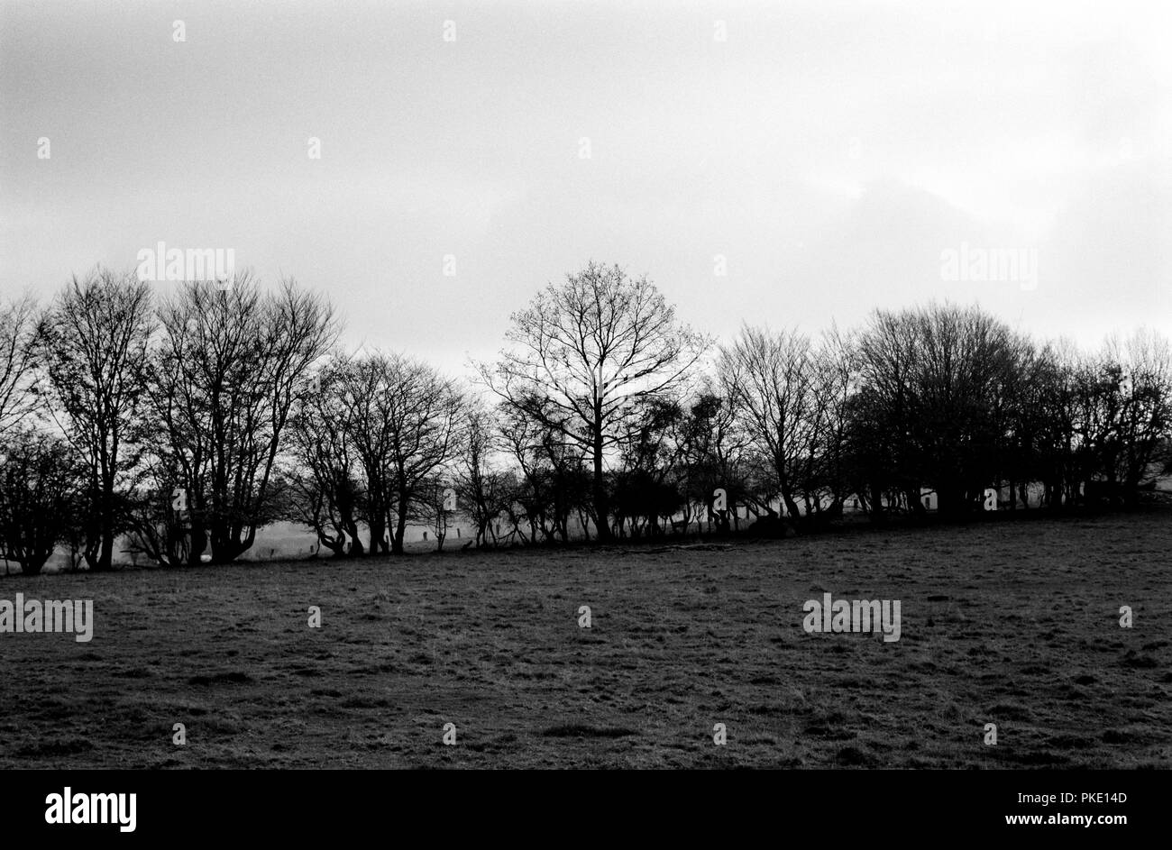 fields around Rossart, near Bertrix (Belgium, 13/11/2005) Stock Photo