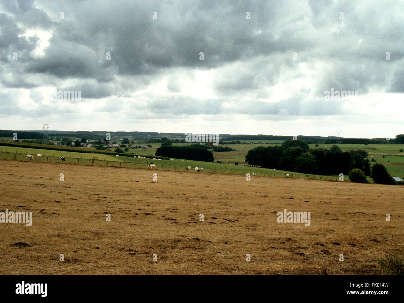 fields around Rossart, near Bertrix (Belgium, 04/1993) Stock Photo
