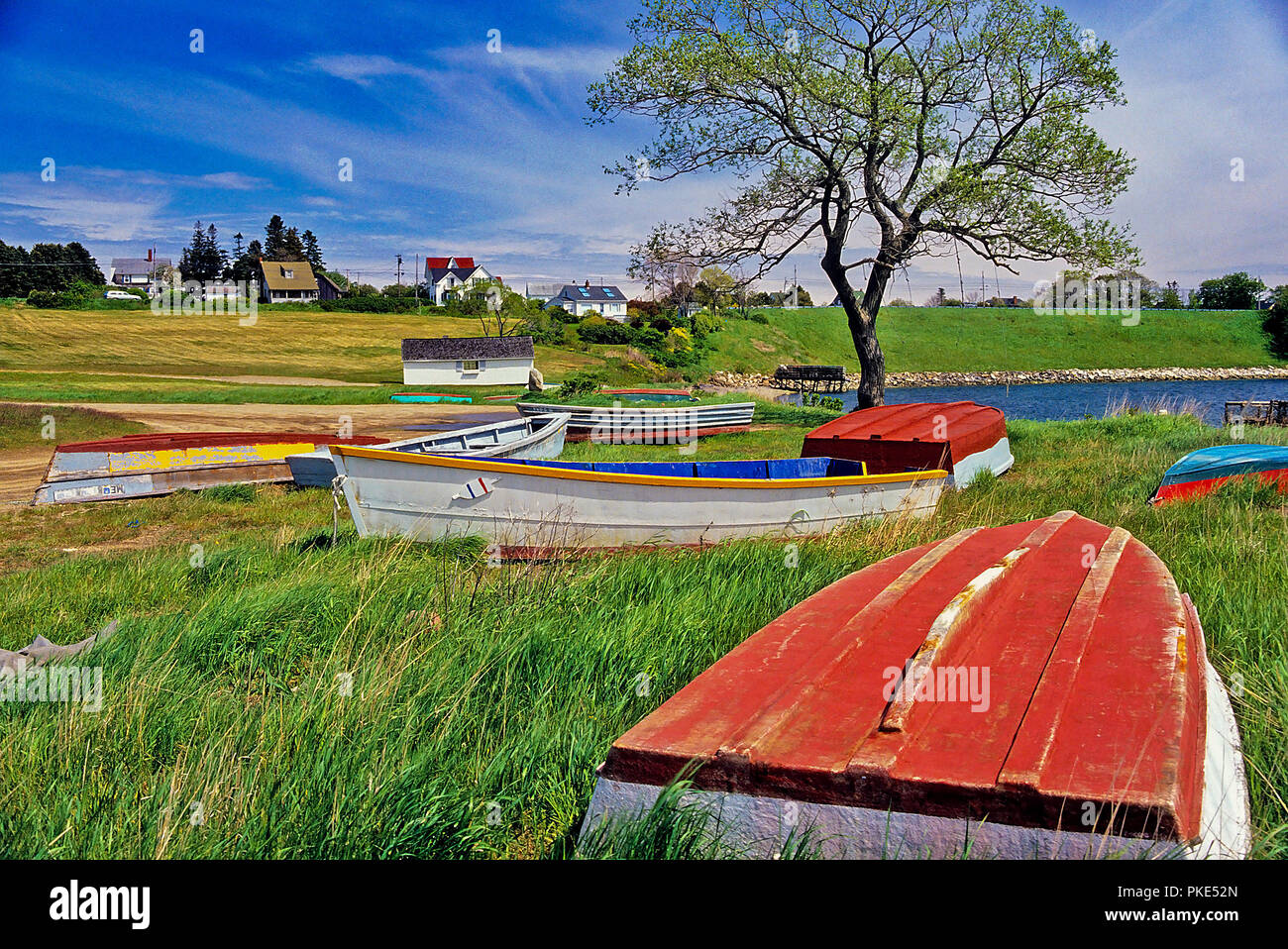 Beached wooden dories or fishing rowboats sit in a field at Bailey Island, Maine, USA. Stock Photo