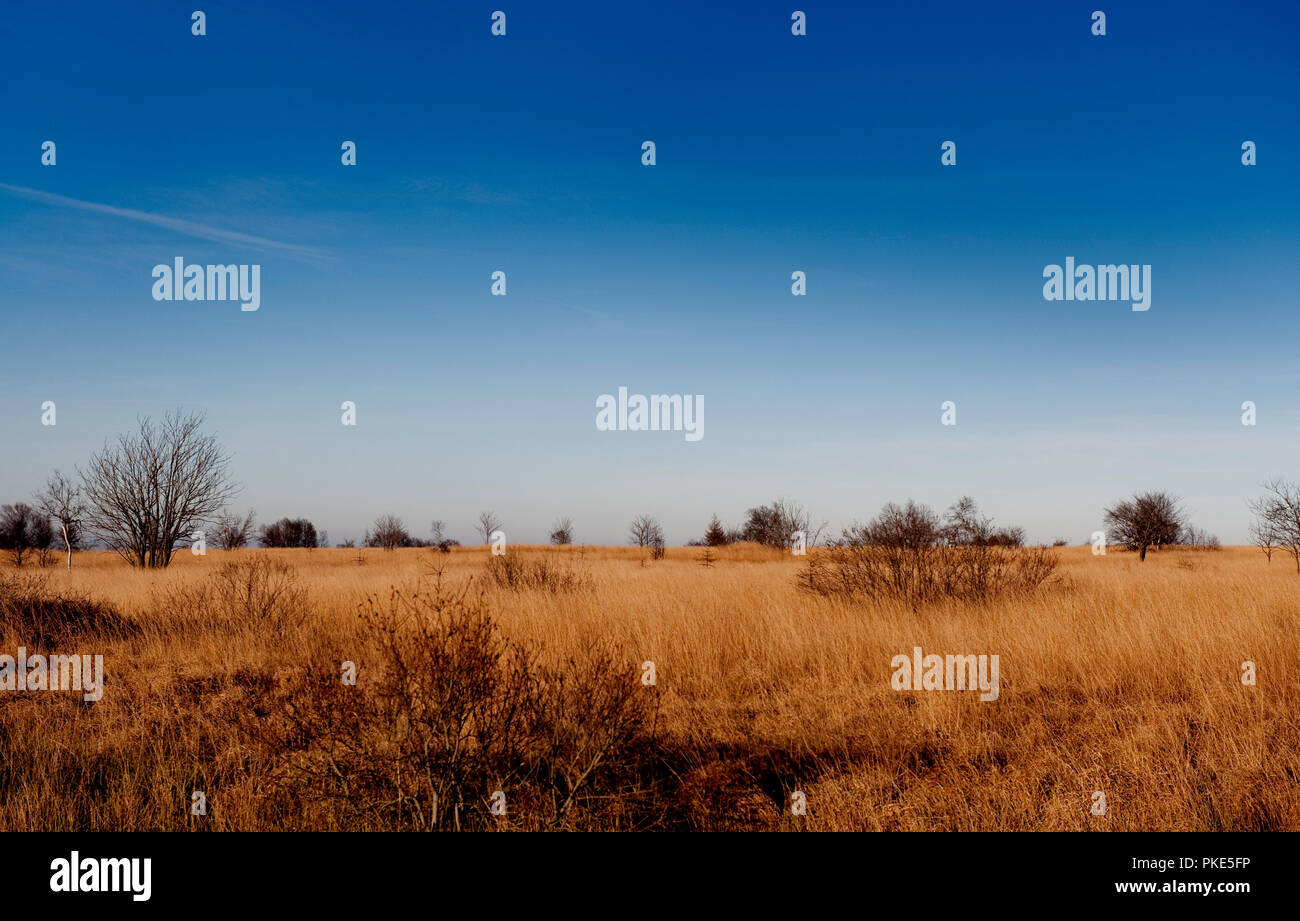 Autumn impressions of the broad plateau of the High Fens around Weismes ...