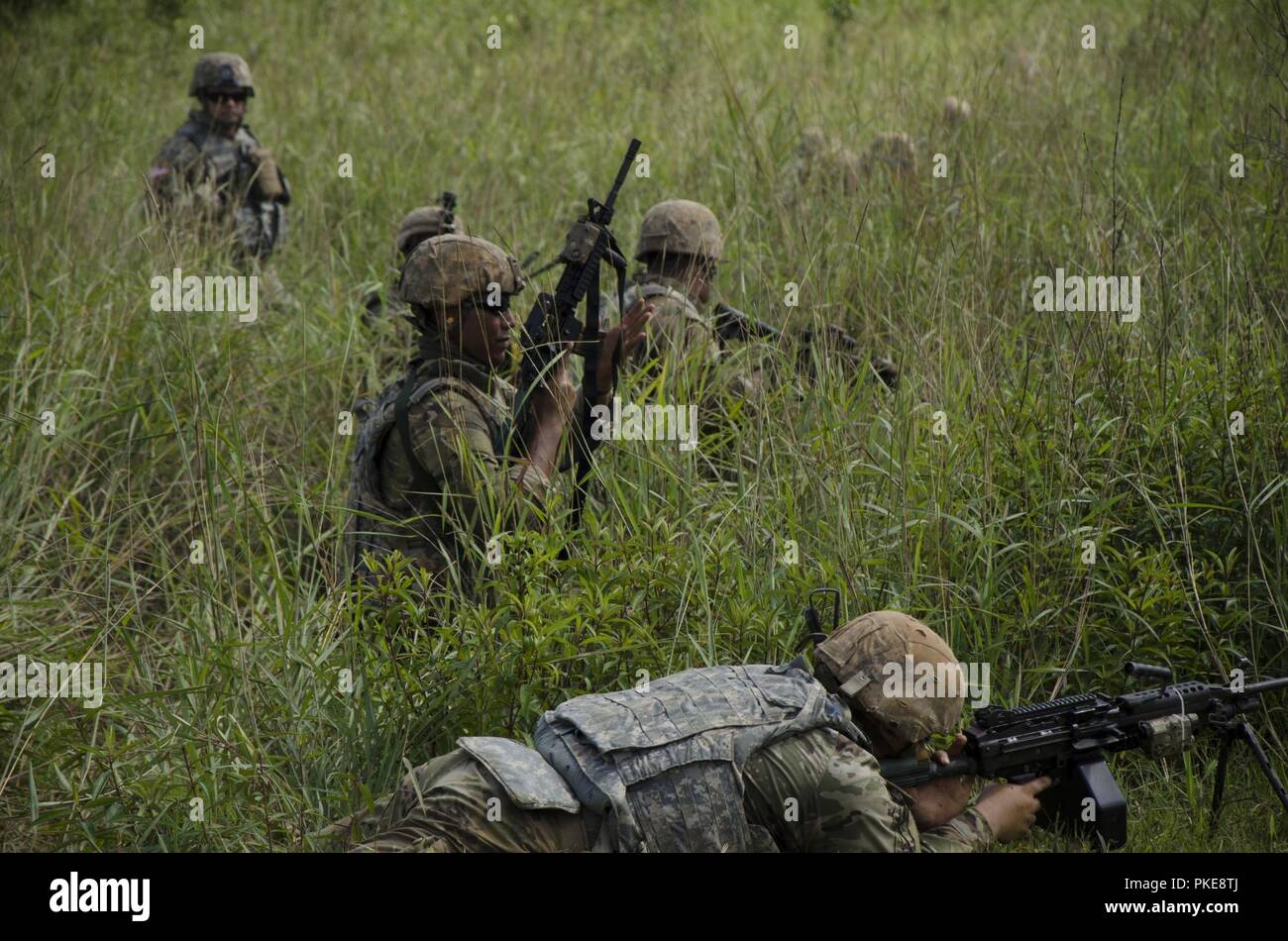 Soldiers with Charlie Company, 100th Battalion, 442nd Infantry Regiment, U.S. Army Reserve, advance on an objective, during Exercise Keris Strike 2018, July 24, 2018, Johor Bahru, Malaysia. Charlie Company was implementing jungle tactics training during a series of live fire exercises as part of Exercise Keris Strike 2018. Stock Photo