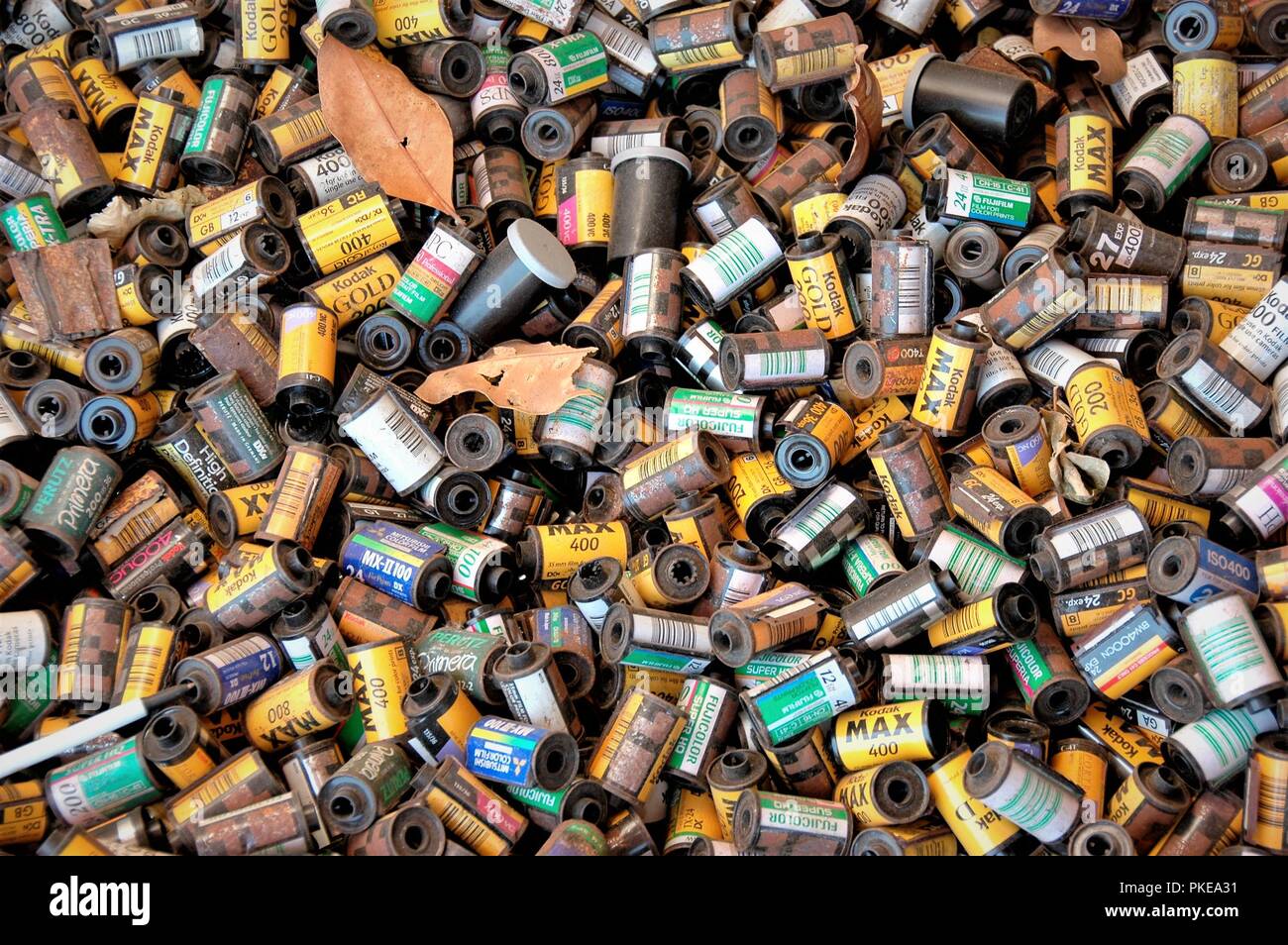 Used Film canisters as garden cover at closed processing plant in Los Angeles California USA, for sale for use in 35mm cameras Stock Photo