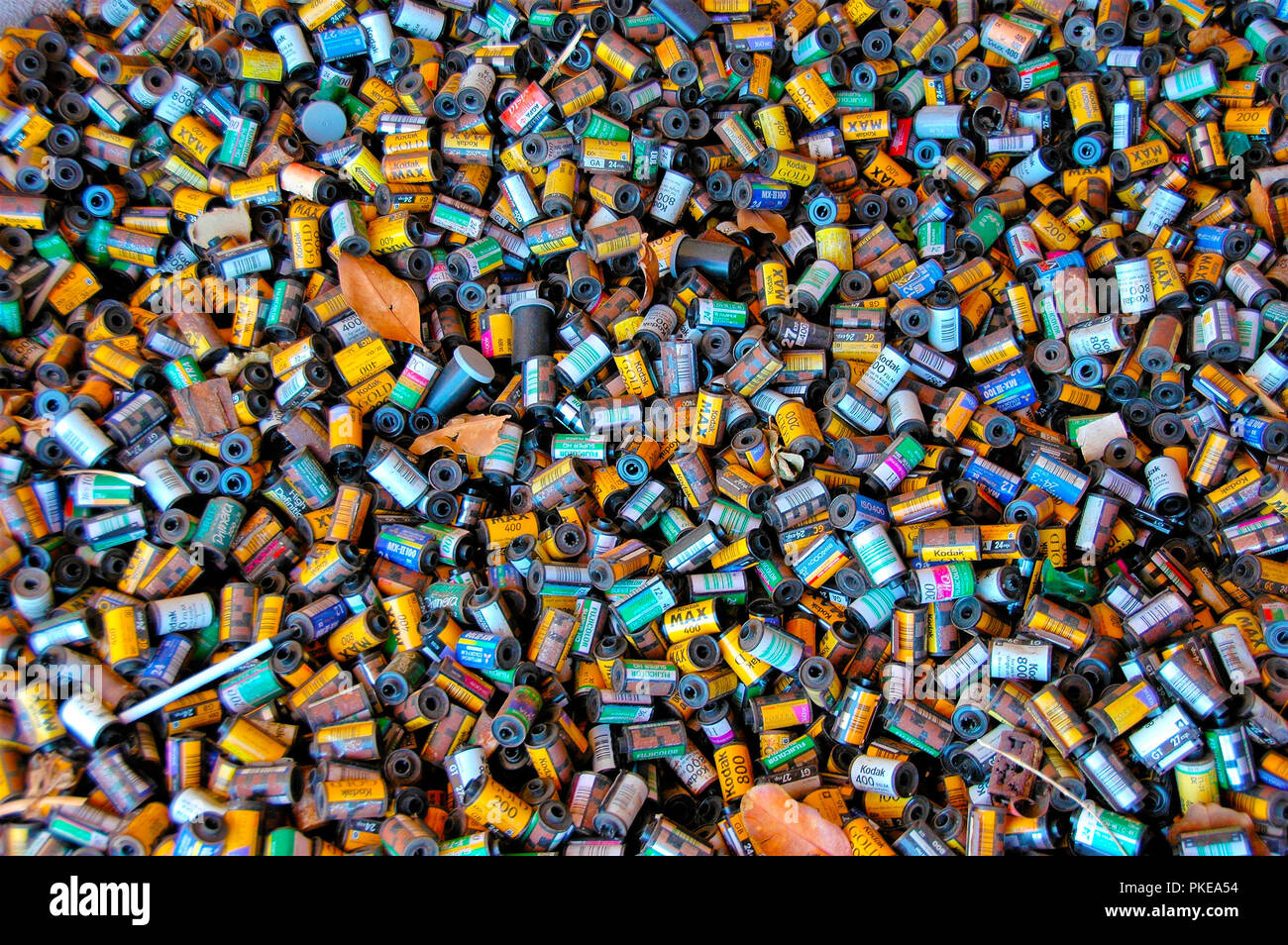 Used Film canisters as garden cover at closed processing plant in Los Angeles California USA, for sale for use in 35mm cameras Stock Photo
