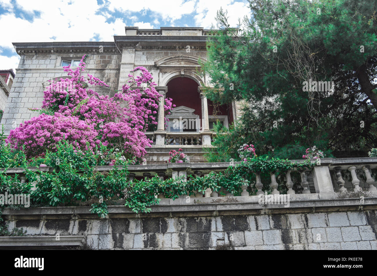 Traditional croatian building surrounded by purple flowers, Dubrovnik ...
