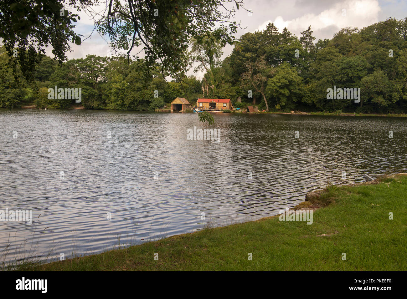 Emborough Pond, Carp Fishing Lake Stock Photo Alamy