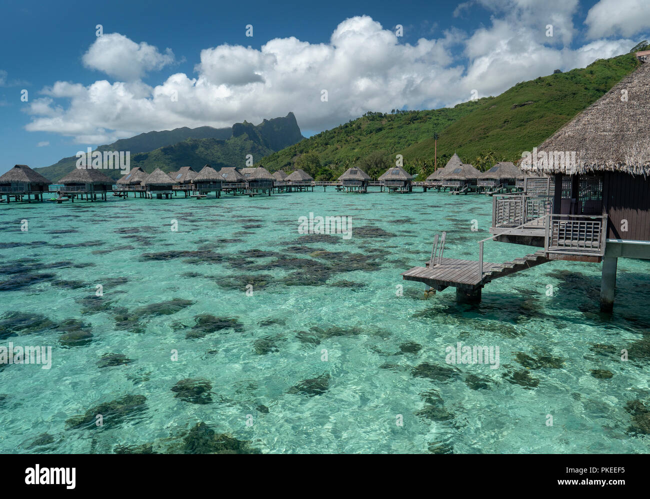 Over the water bungalows at the Hilton Lagoon Resort and Spa, Papetoai, Moorea, Tahiti, French Polynesia Stock Photo