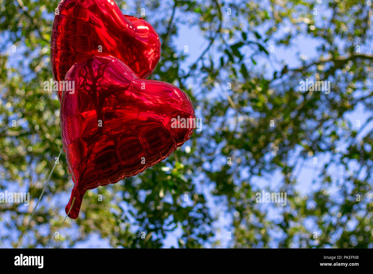 Two red heart balloons with trees and the sky as backgroung. Stock Photo