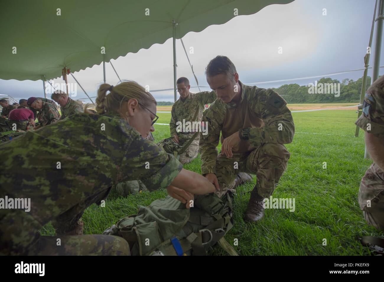 How many lines do parachute paratroopers have How many lines do parachute paratroopers have