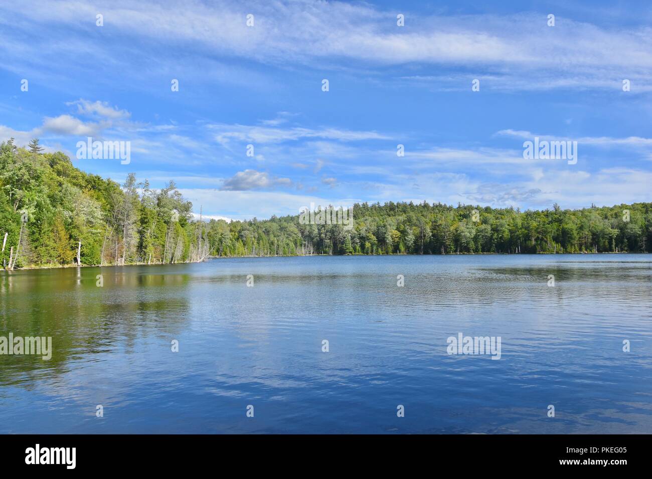 A rustic view of nature in the Adirondacks, Upstate New York, USA Stock
