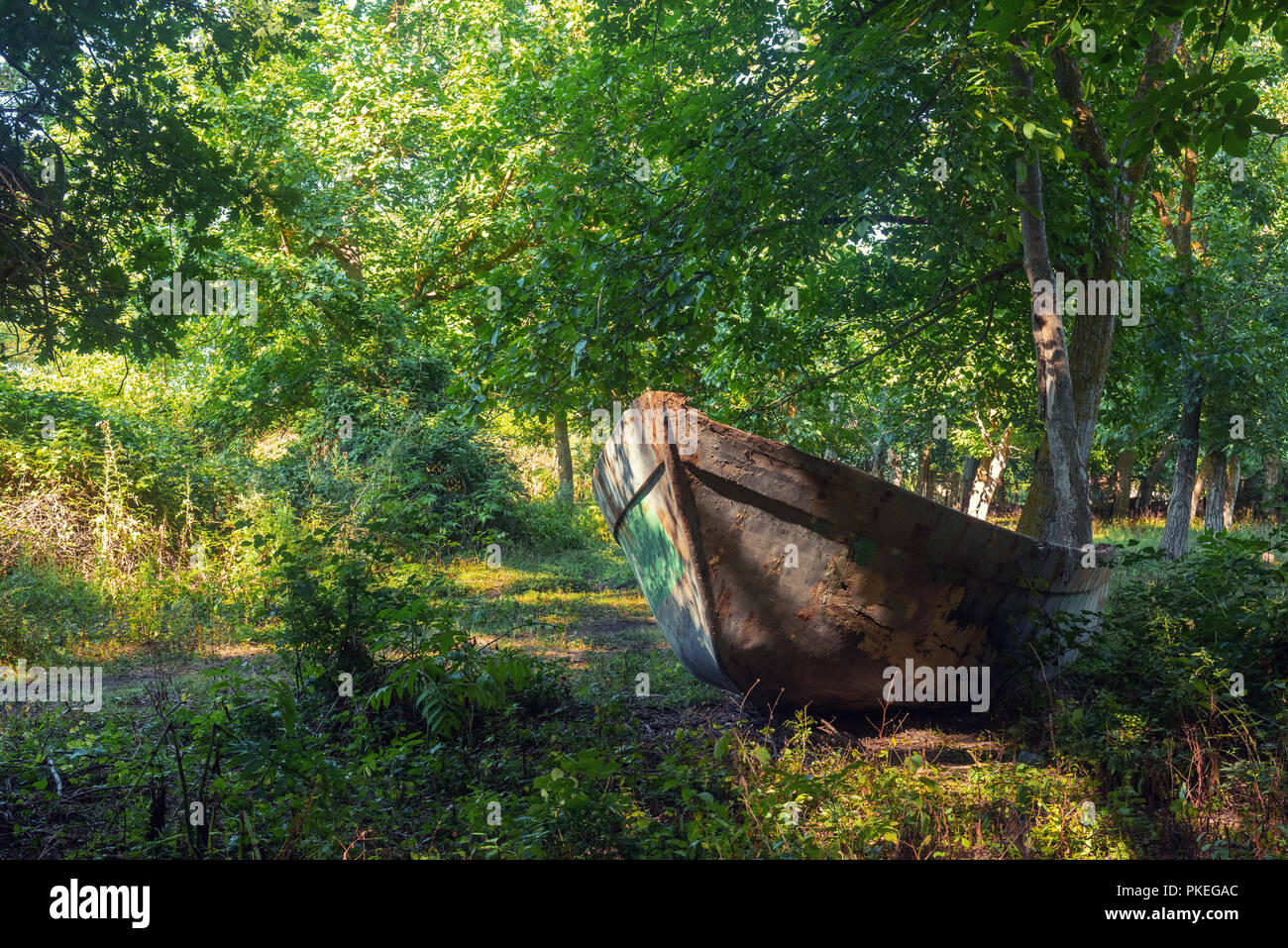 An old abandoned wooden boat Stock Photo - Alamy
