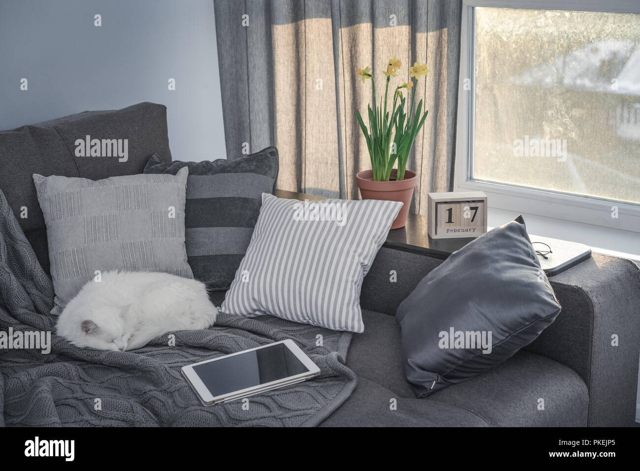 Cozy family room with brown couch, sleeping cat and large windows ...