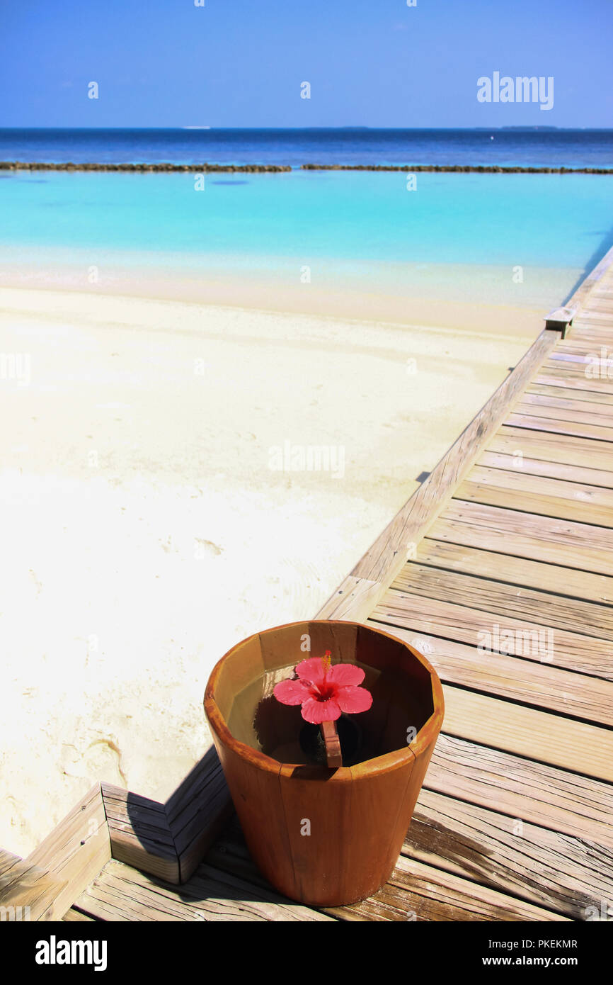 Maldivian Water Bucket with Red Tropical Flower and Pacific Ocean in the Background Stock Photo