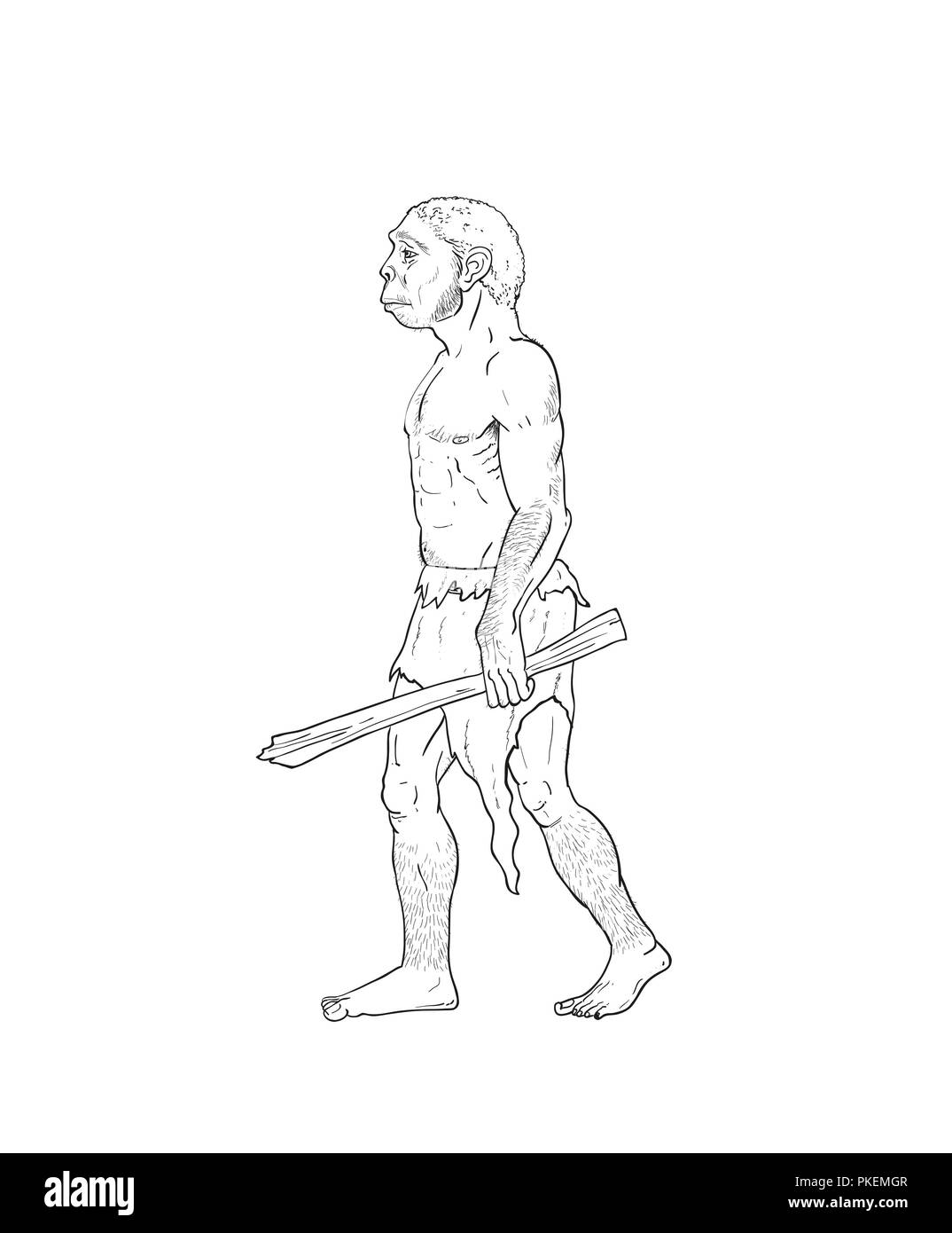 Зарисовки неандертальца легкие