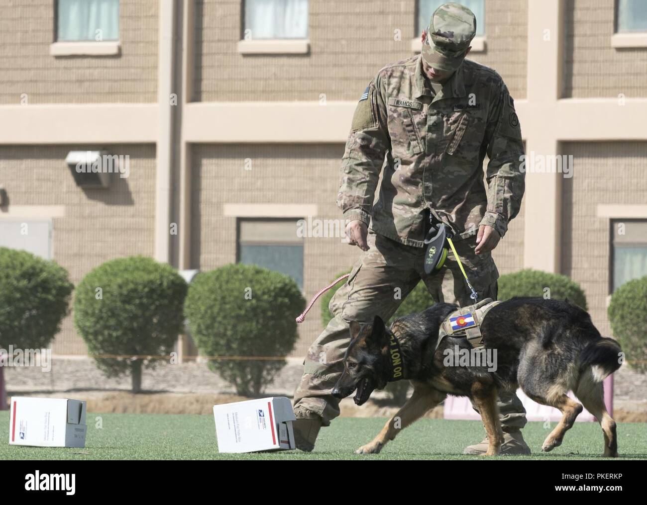 U s army showcase hi-res stock photography and images - Alamy