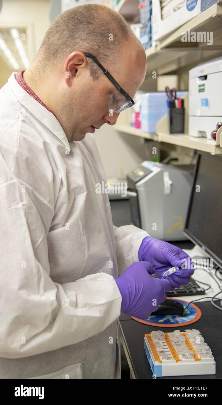 Sean Patterson, ARP Sciences, LLC, quality management section DNA