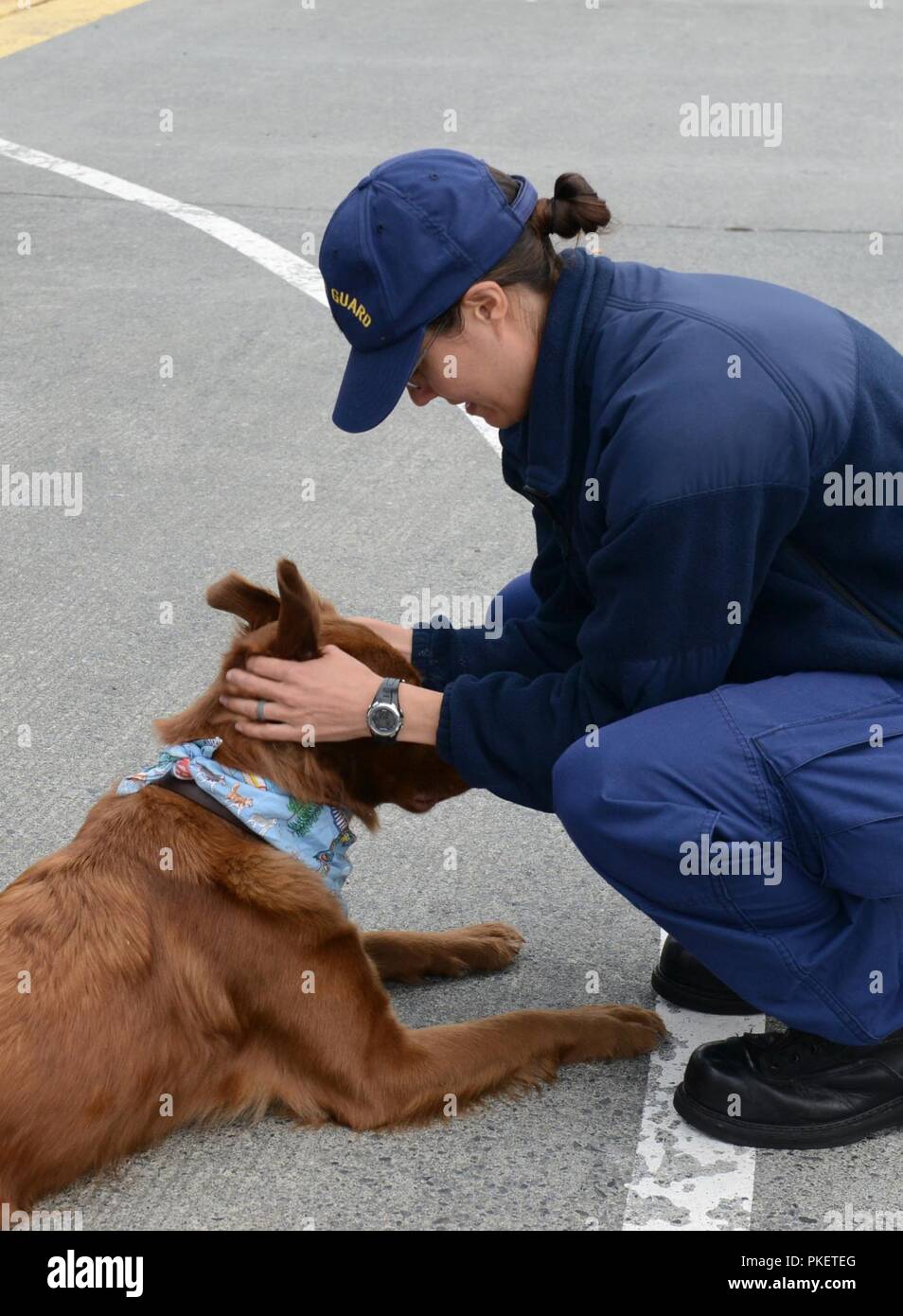 A crew member aboard the Coast Guard Cutter Alex Haley (WMEC 39) pets a dog on the pier in Kodiak, Alaska, August 1, 2018. The crew members aboard the Alex Haley are returning from a 90-day deployment, patrolling more than 16,000 miles throughout the Pacific Ocean. U.S. Coast Guard Stock Photo