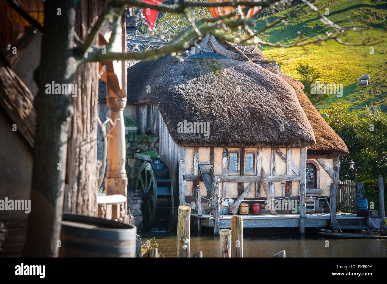 Hobbiton movie set created to film Lord of the Rings and The Hobbit. View of the watermill at sunset. Stock Photo