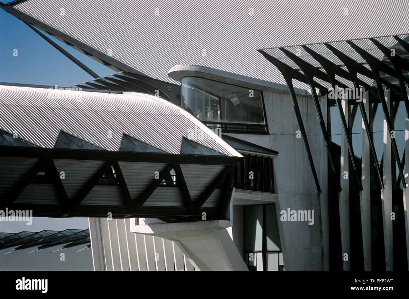 The Lyon-Saint-Exupéry TGV railway station in Colombier-Saugnieu, designed by Spanish architect Santiago Calatrava (France, 20/10/2007) Stock Photo