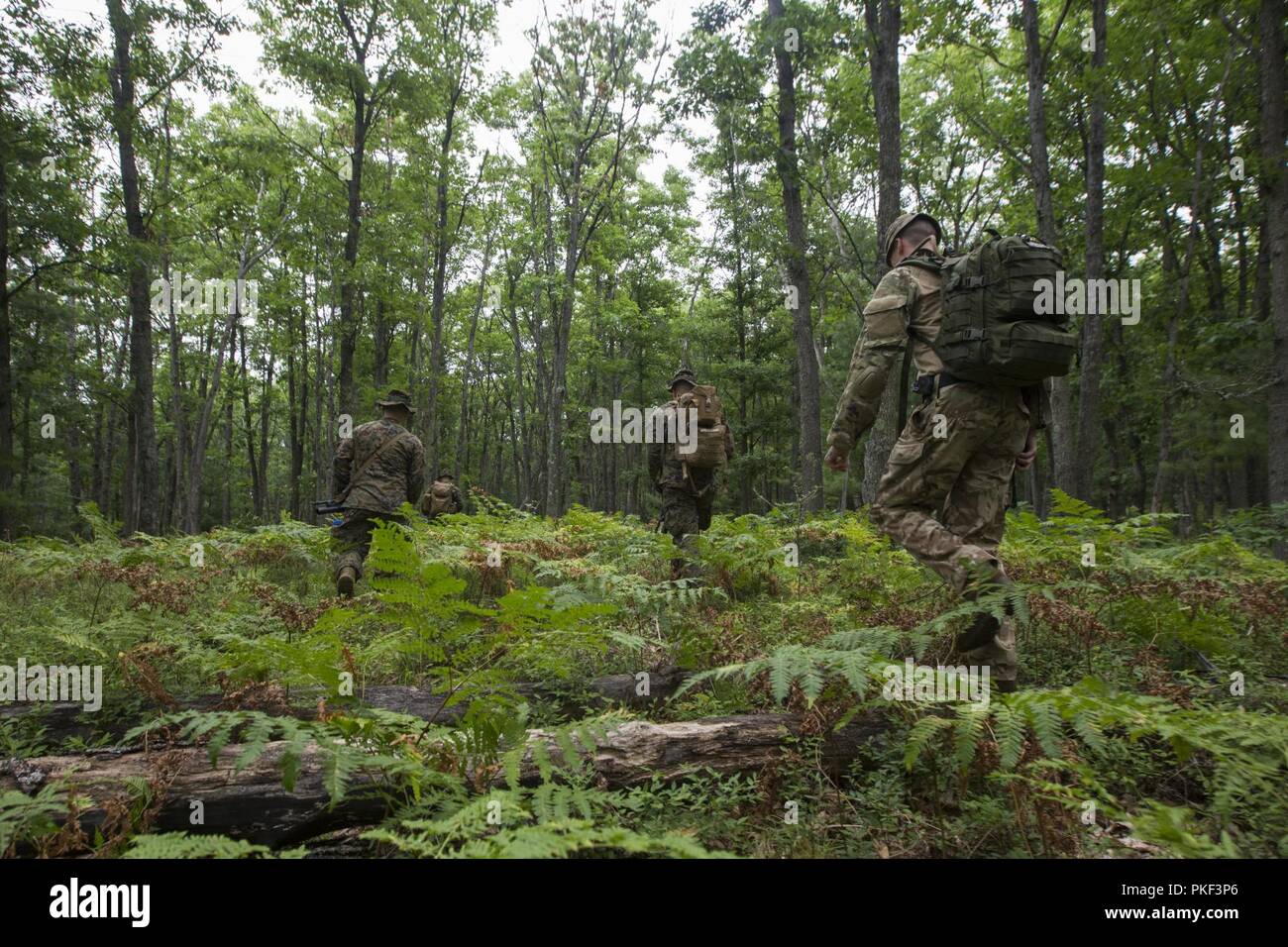 British Lance Cpl. PJ Moleod (left), a medic with 3rd Princess of Wales Royal Regiment and U.S. Marines from Kilo Company, 3rd Battalion, 25th Marine Regiment, hike towards a target point during a land navigation course at Exercise Northern Strike in Camp Grayling, Mich., Aug. 6, 2018. Northern Strike’s mission is to exercise participating units’ full-spectrum of capabilities through realistic, cost-effective joint fires training in an adaptable environment, with an emphasis on joint and coalition force cooperation. Stock Photo