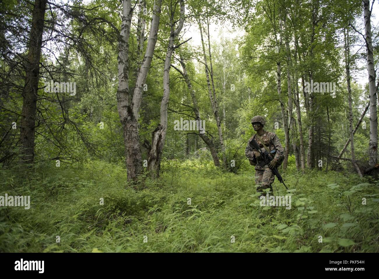 A U.S. Marine with 3rd Battalion, 23rd Marine Regiment, conducts a simulated combat patrol during the 4th Marine Division Super Squad Competition at Joint Base Elmendorf-Richardson, Alaska, Aug. 4, 2018. During the competition, squads from 1st and 3rd Battalions, 23rd Marine Regiment and 1st Battalion, 24th Marine Regiment, exercised their technical and tactical proficiencies by competing in events that highlighted offensive/defensive operations, patrolling techniques, combat marksmanship, physical endurance and small unit leadership. Stock Photo