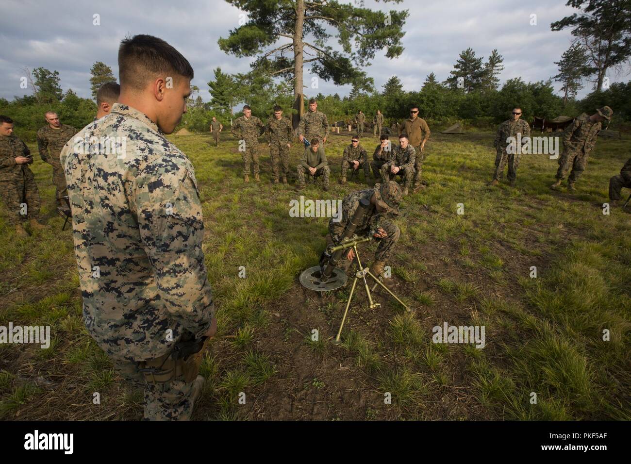 Mortarmen with 3rd Battalion, 25th Marine Regiment, go over setting up a M224 60mm Mortar during Exercise Northern Strike at Camp Grayling, Mich., Aug. 7, 2018. Northern Strike’s mission is to exercise participating units’ full-spectrum of capabilities through realistic, cost-effective joint fires training in an adaptable environment, with an emphasis on joint and coalition force cooperation. Stock Photo