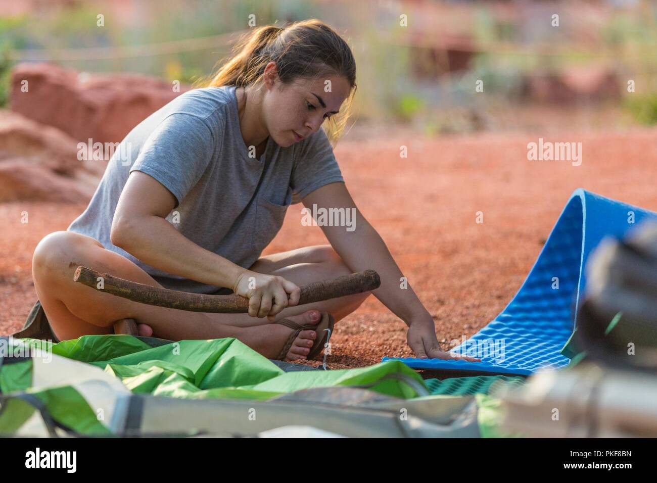 U.S. Marine Corps Sgt. Jennifer Mendez, intelligence specialist, 1st Law Enforcement Battalion, I Marine Expeditionary Force-Information Group, drives a tent stake into the ground during a Single Marine Program (SMP) trip at Zion National Park, Utah, Aug. 4, 2018. Food, camping gear, transportation and water were all included in the trip for an affordable price. Stock Photo